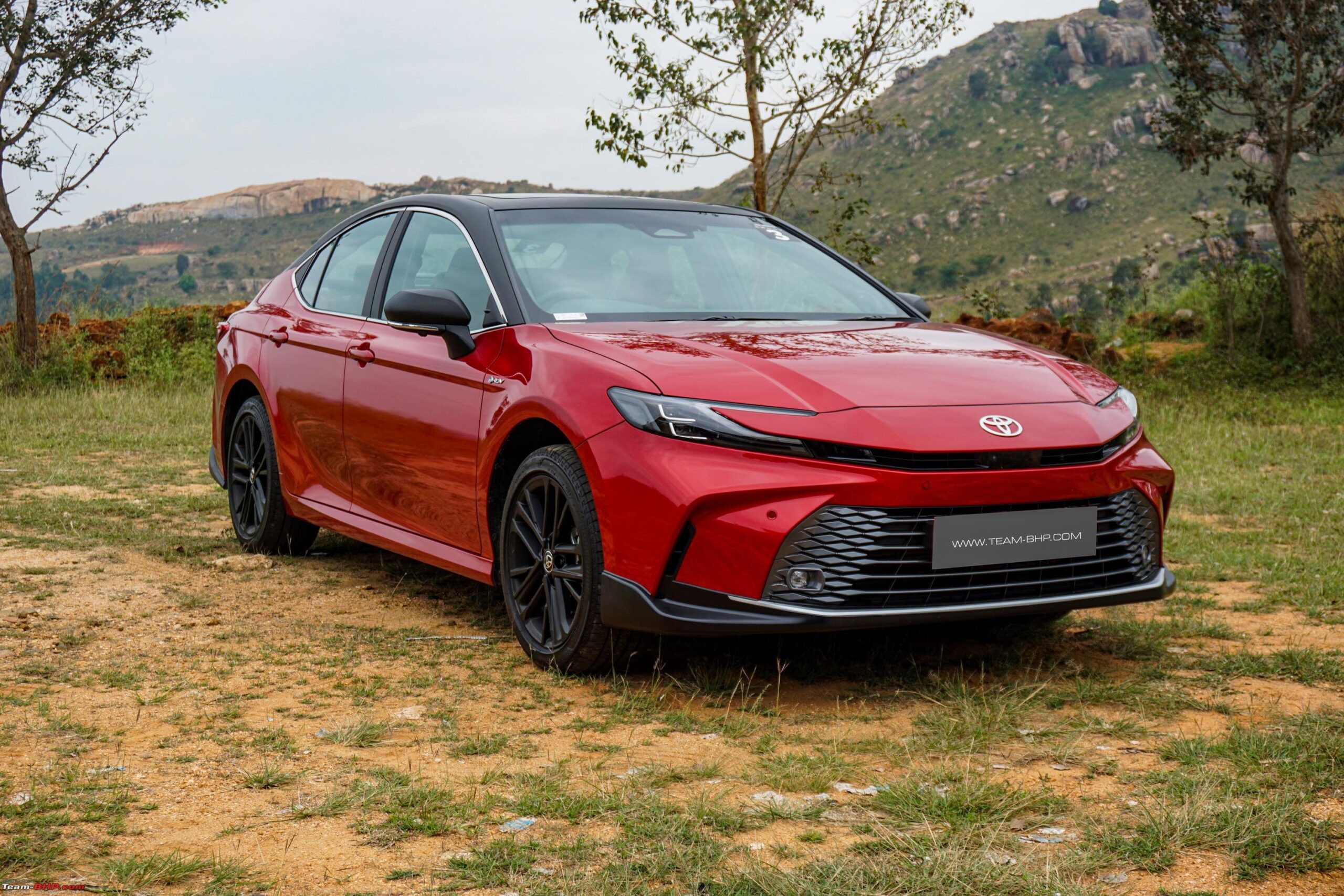 Toyota Camry Hybrid vs. GWM Cannon Alpha PHEV